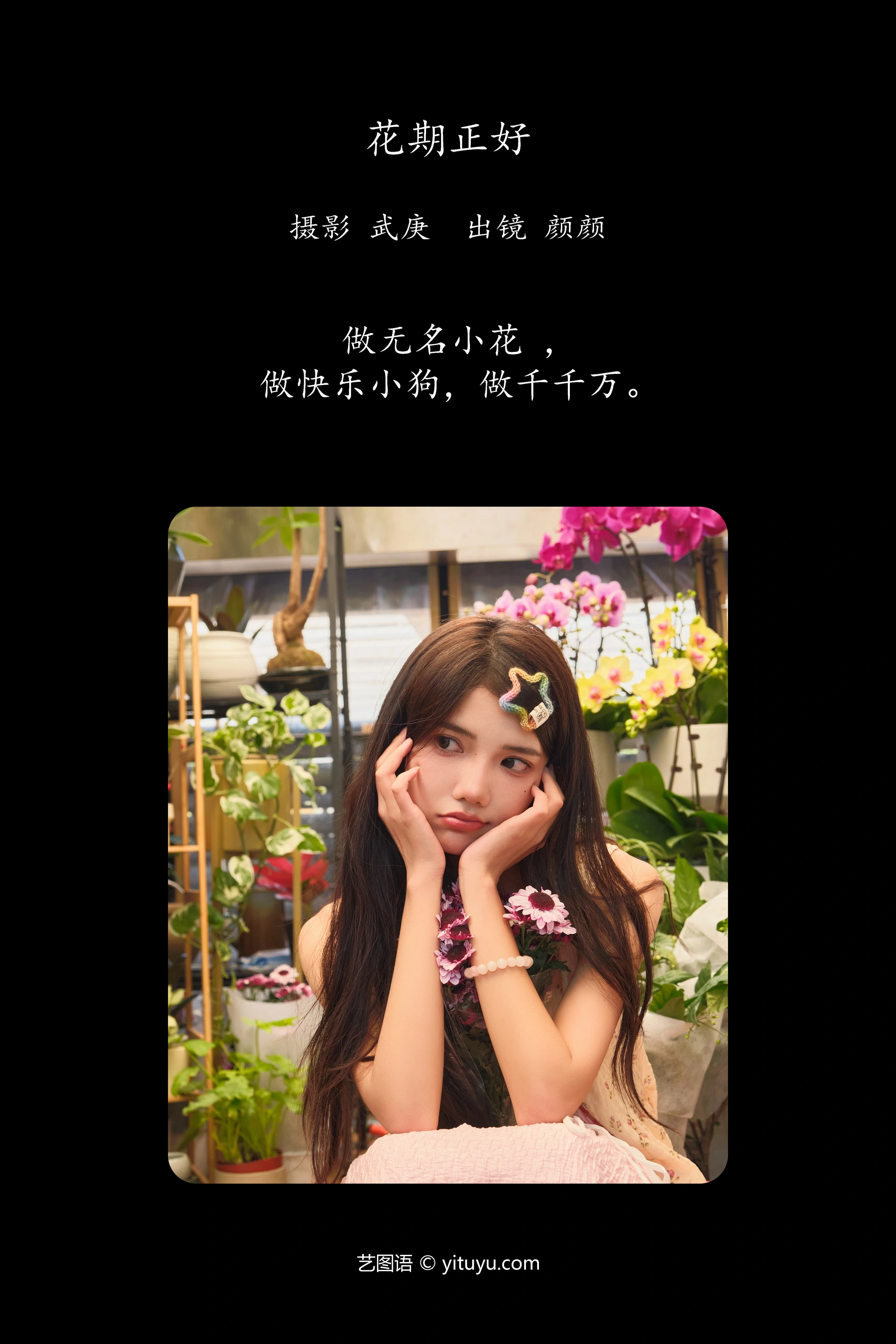 [YITUYU艺图语]2025.01.12 花期正好 多米Domy 1
